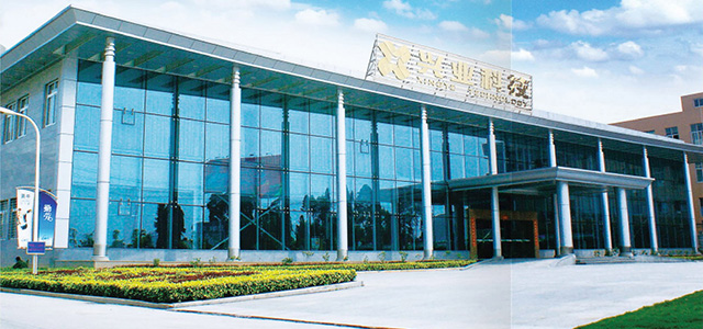Xingye Leather Technology Co., Ltd